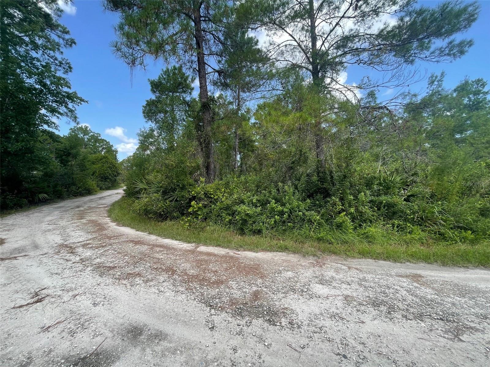 Details for Hilda Avenue, PAISLEY, FL 32767