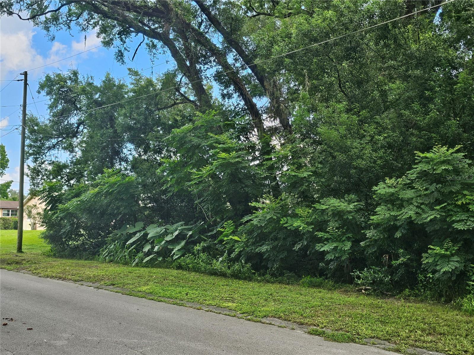 Image 2 of 9 For Carpenter Avenue