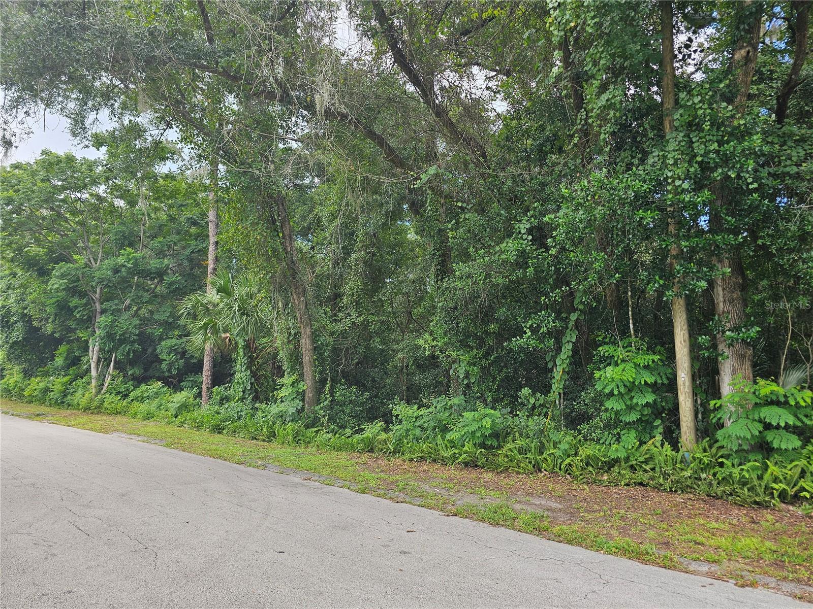 Image 3 of 9 For Carpenter Avenue