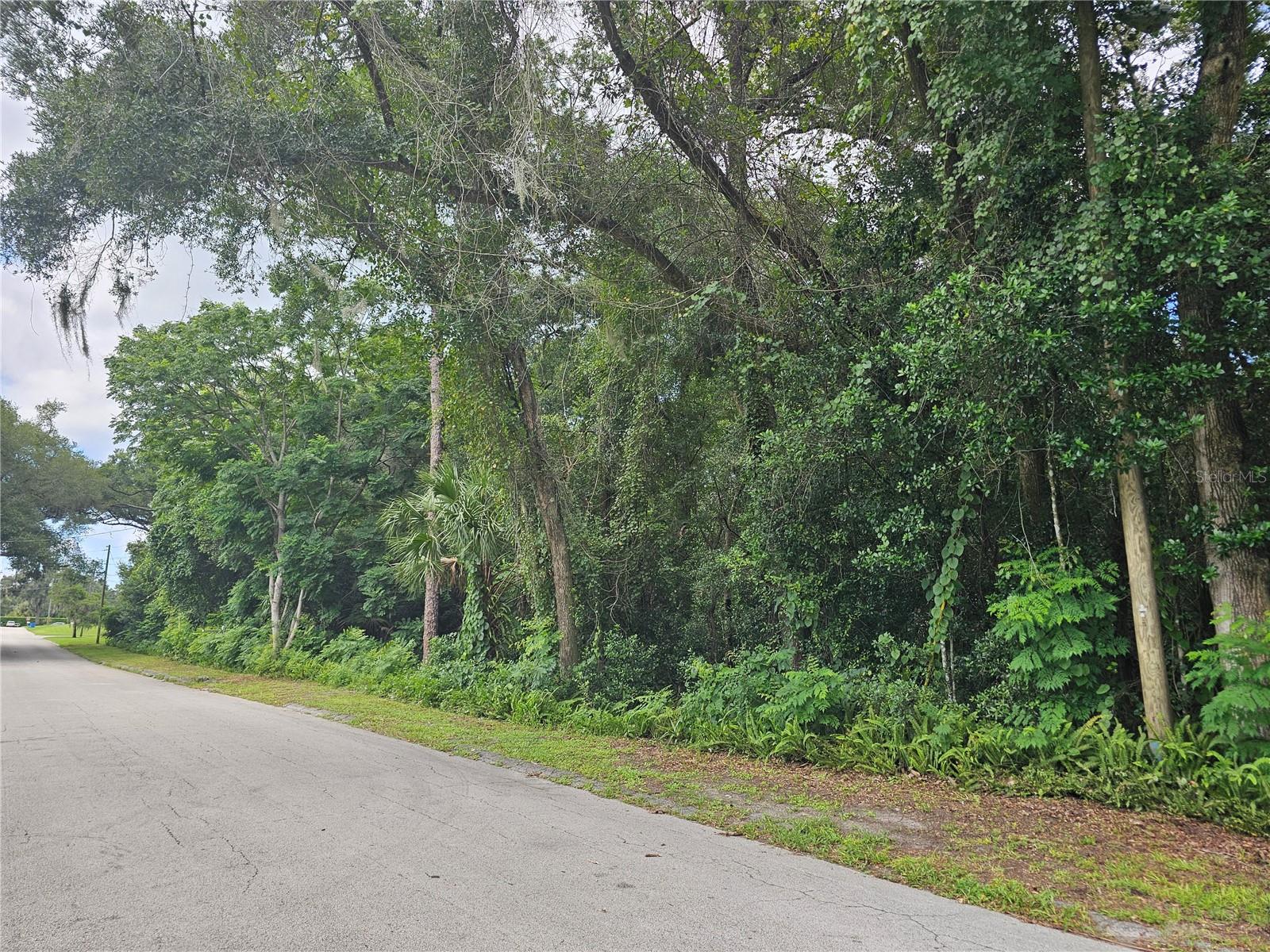 Image 4 of 9 For Carpenter Avenue