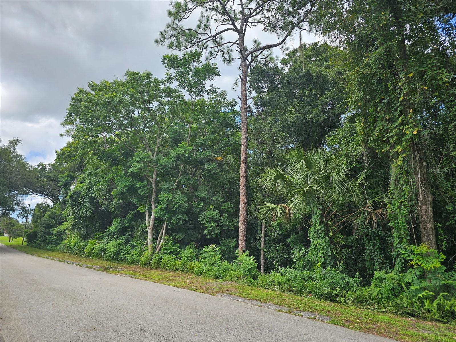 Image 5 of 9 For Carpenter Avenue