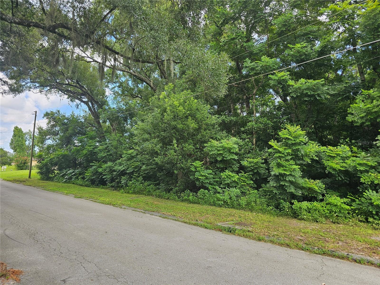 Image 7 of 9 For Carpenter Avenue