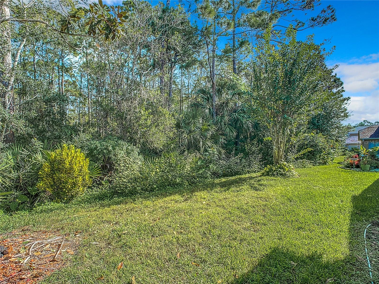 Image 46 of 64 For 1429 Areca Palm Drive