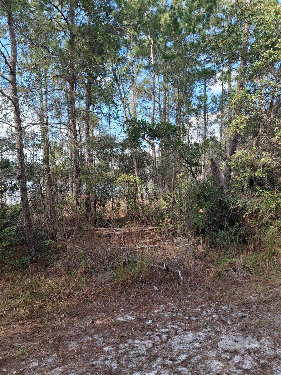Image 54 of 60 For Address Not Provided