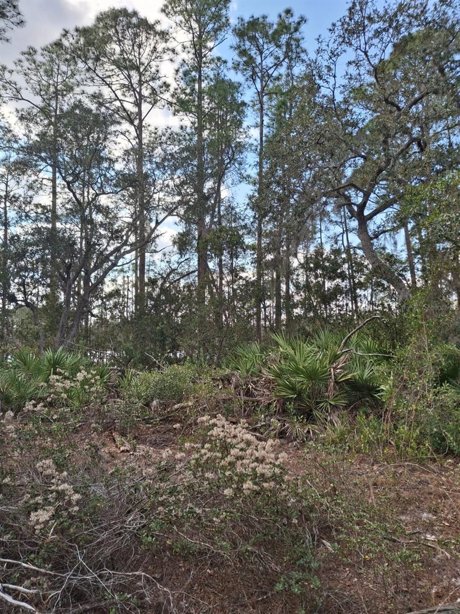 Image 58 of 60 For Address Not Provided