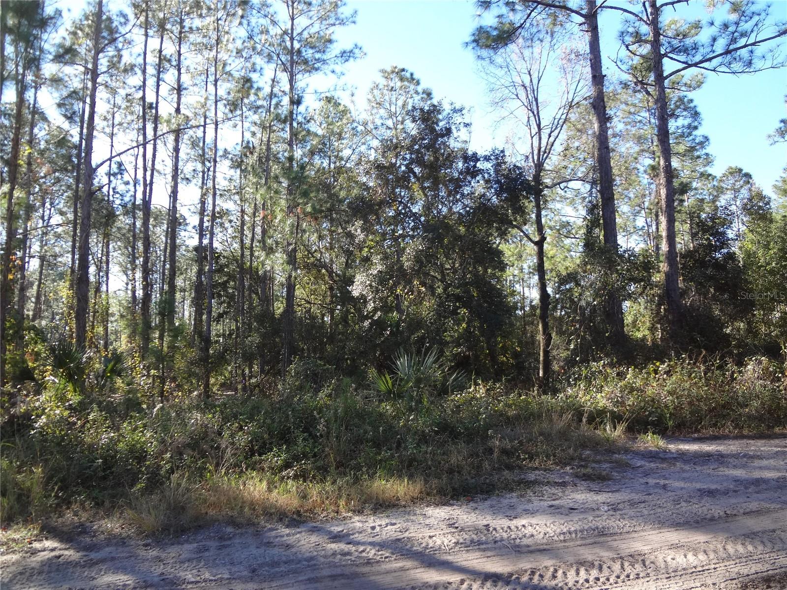 Listing Details for Property Location Is Not Avail, DELAND, FL 32724