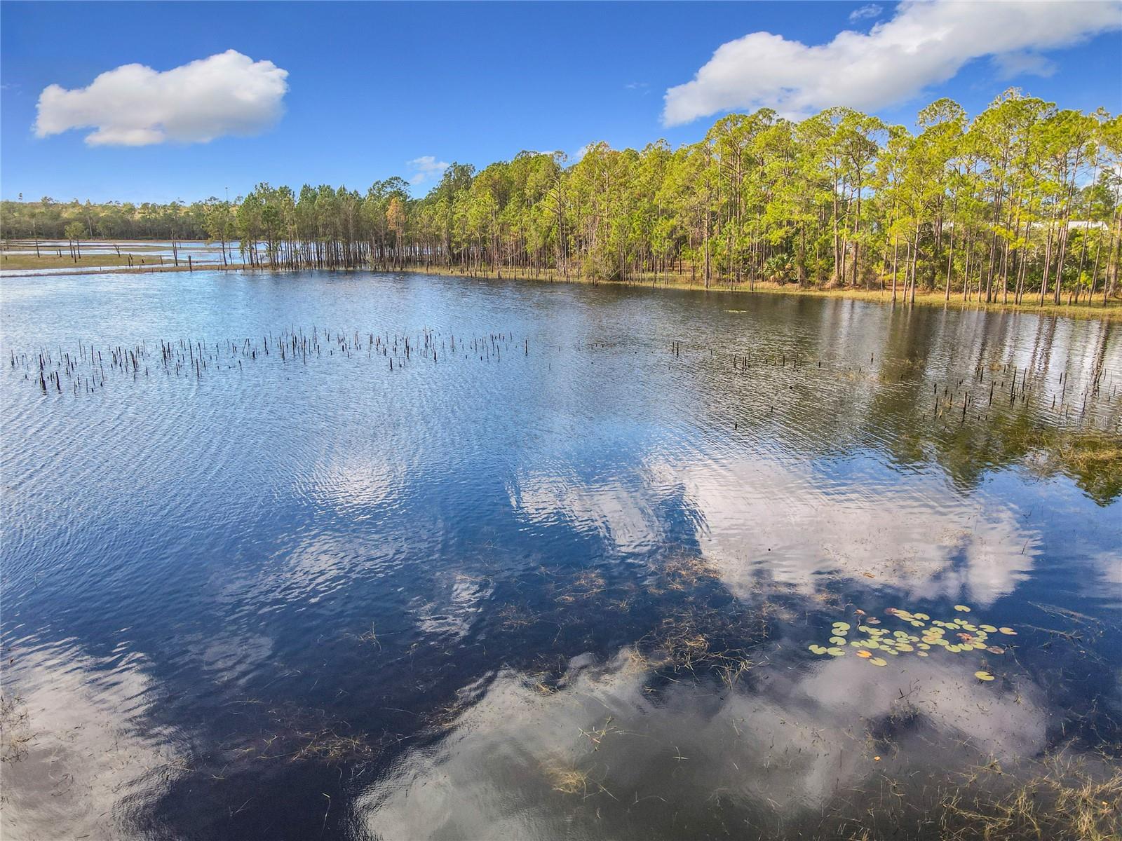 Image 8 of 73 For 485 Mccracken Road