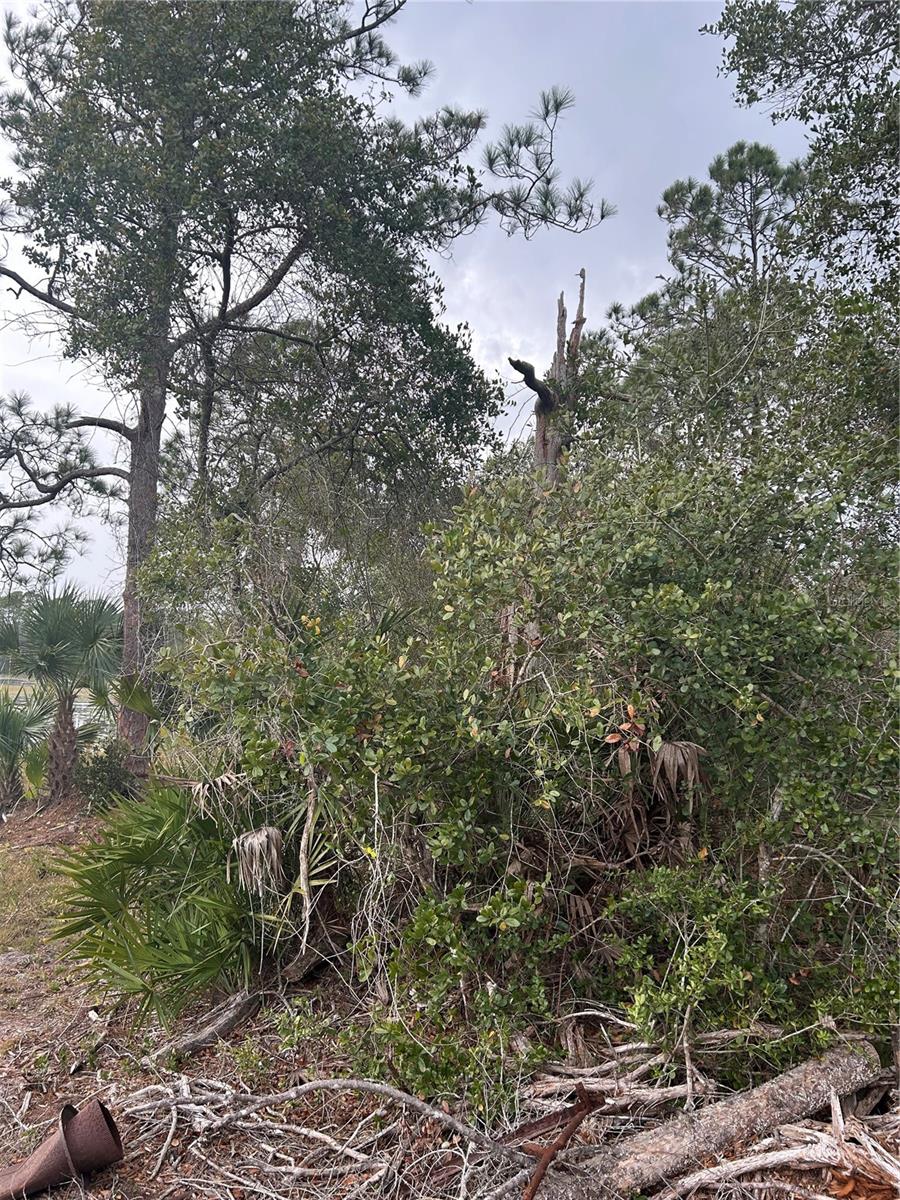 Image 6 of 9 For Jewell Drive