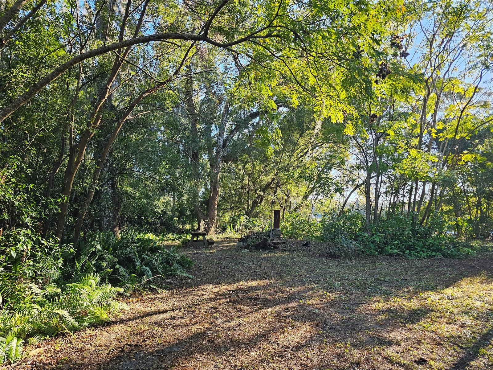 Image 6 of 40 For 1937 Spring Garden Avenue