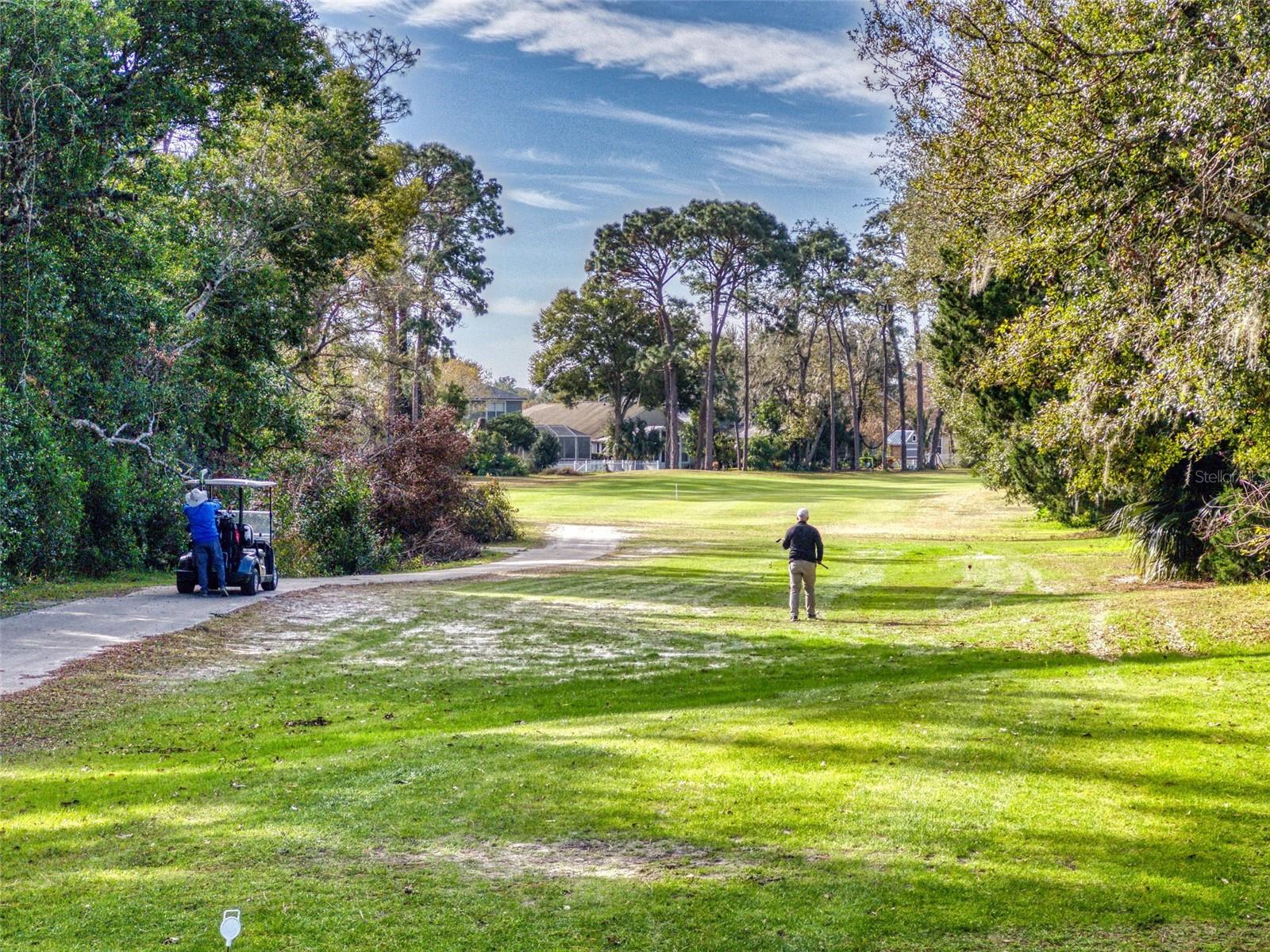 Image 74 of 80 For 55 Fairway Drive 3d