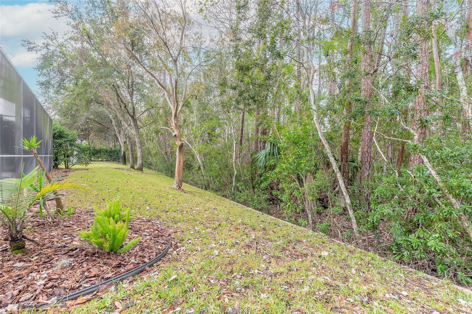 Image 36 of 47 For 34 Black Creek Way