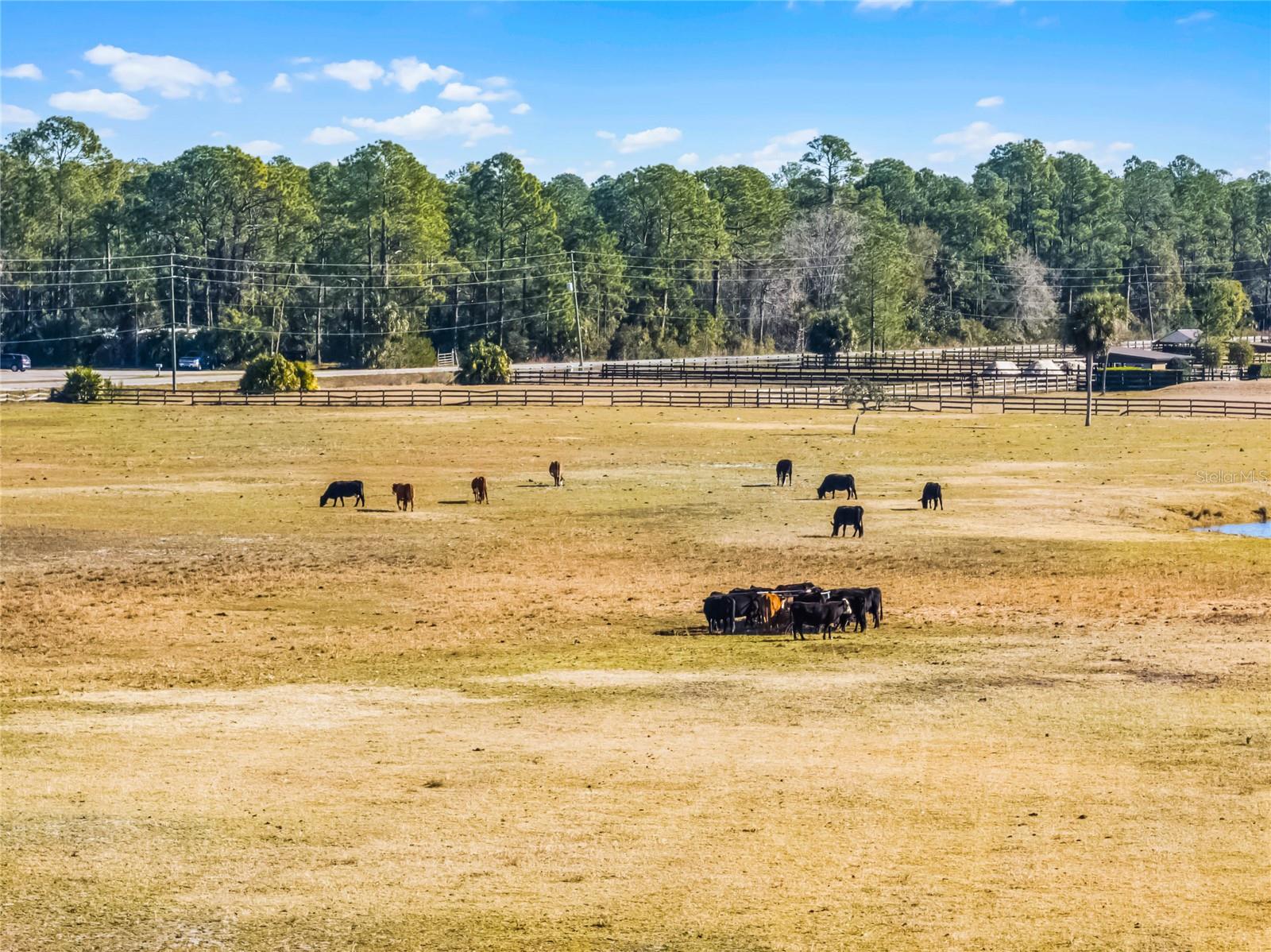 Image 12 of 21 For 2120 St Johns River Road