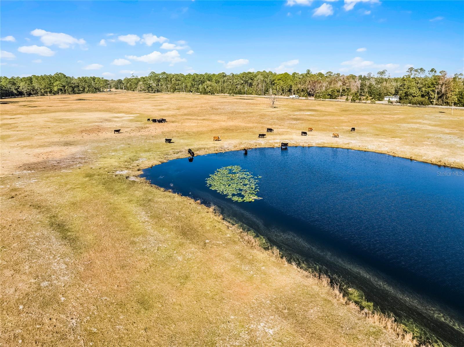 Image 8 of 21 For 2120 St Johns River Road