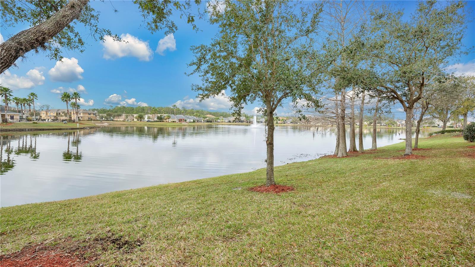 Image 21 of 21 For 221 Aston Grande Drive