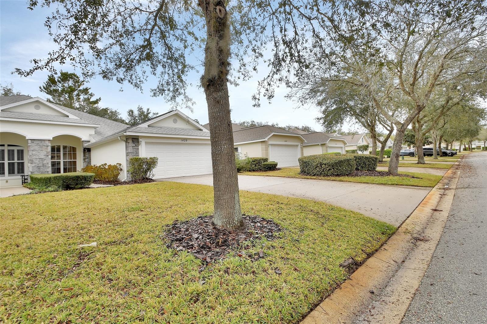 Image 24 of 42 For 1429 Carlow Circle