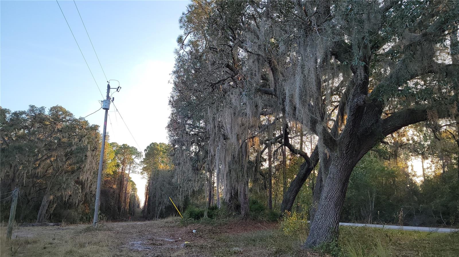 Image 46 of 55 For 213 Clifton Road