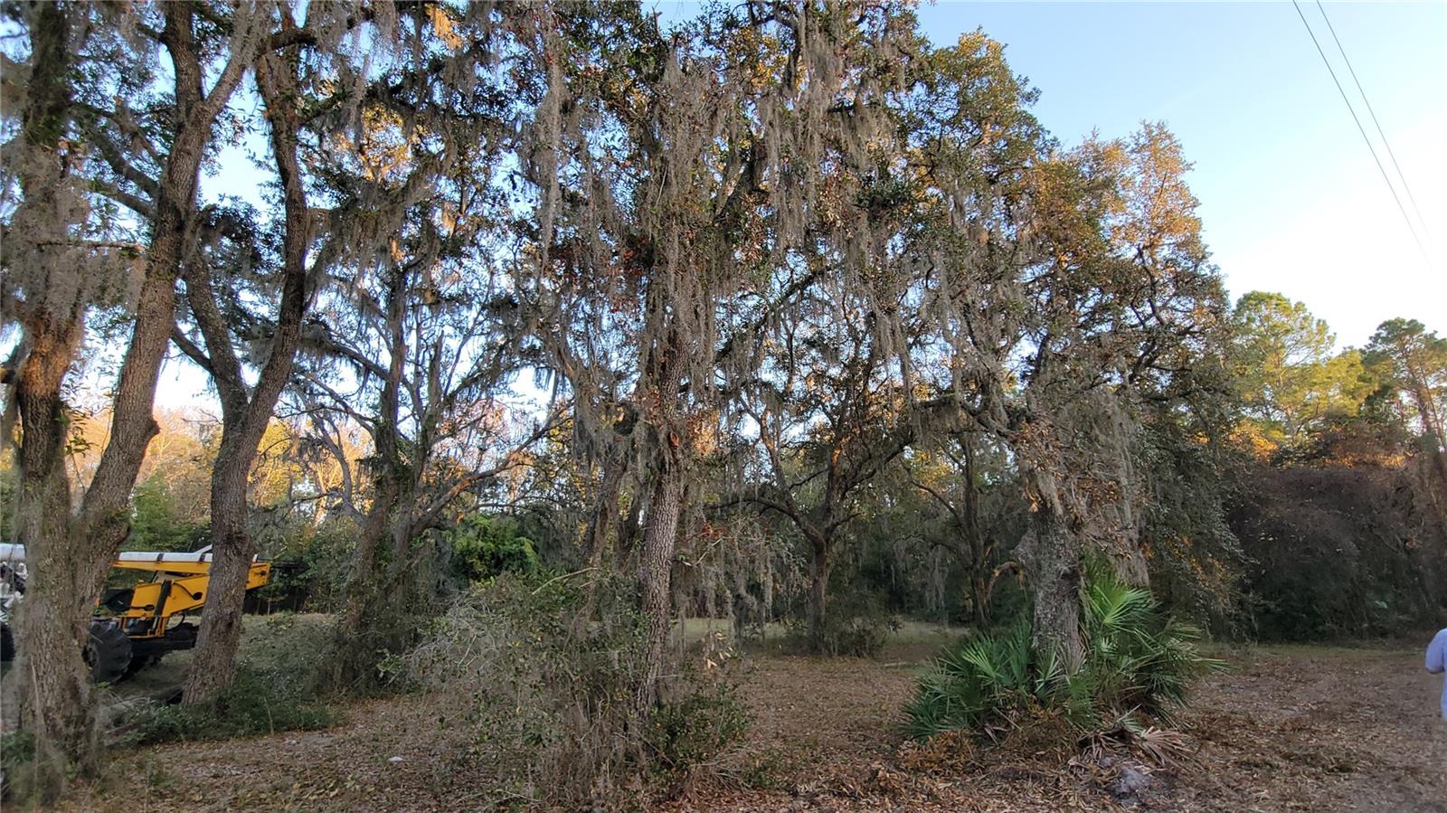 Image 47 of 55 For 213 Clifton Road