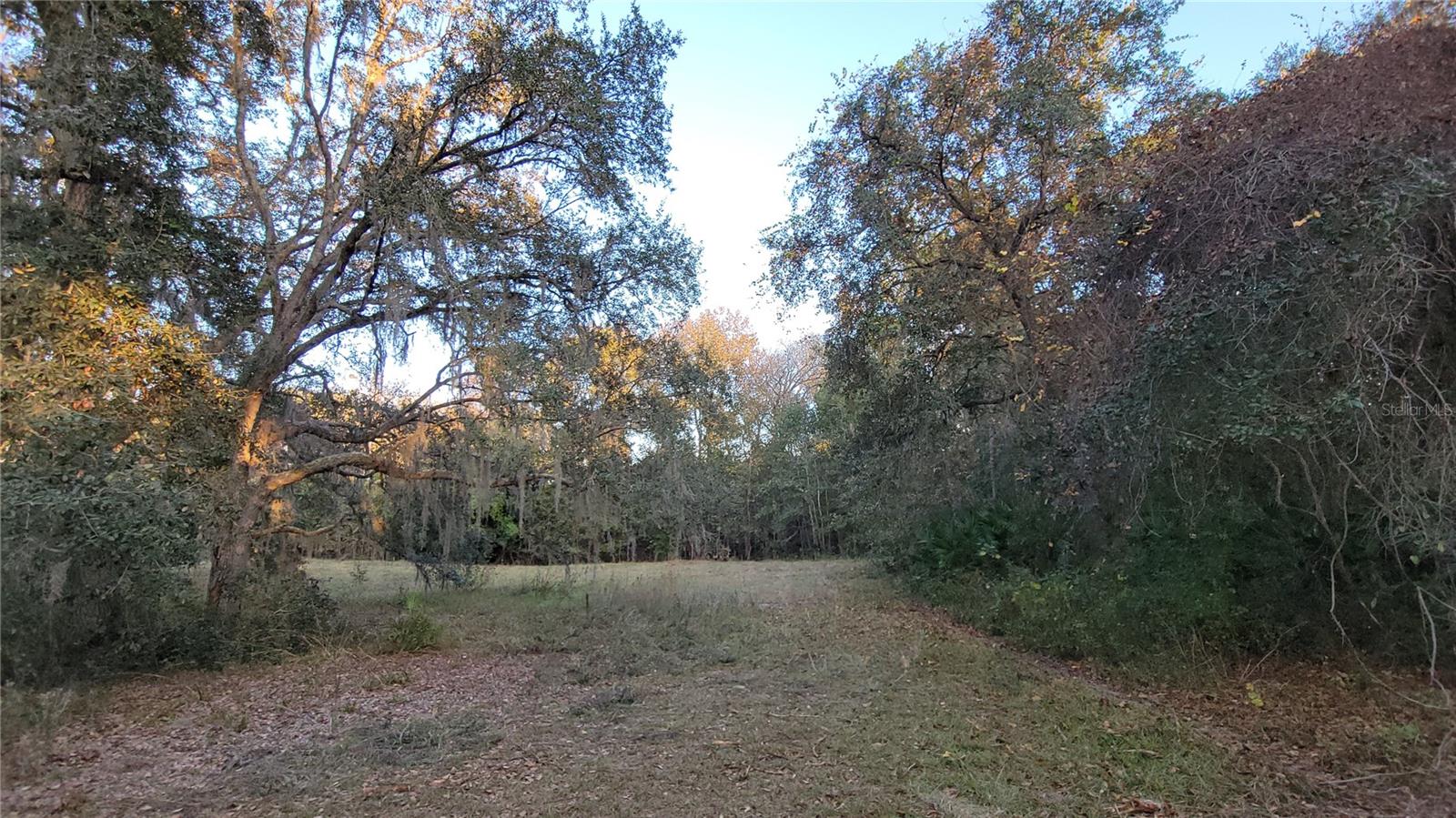 Image 48 of 55 For 213 Clifton Road