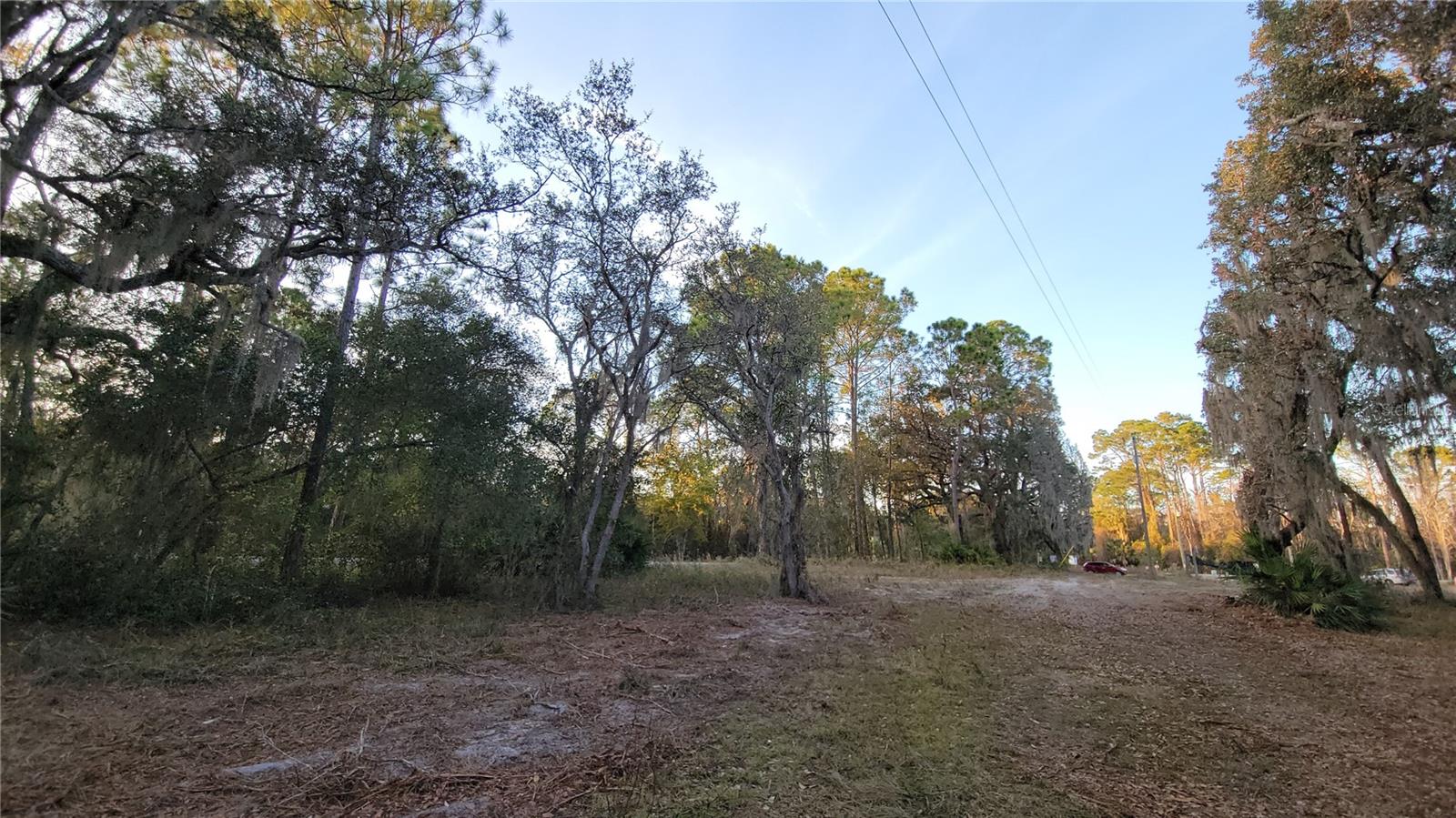 Image 49 of 55 For 213 Clifton Road