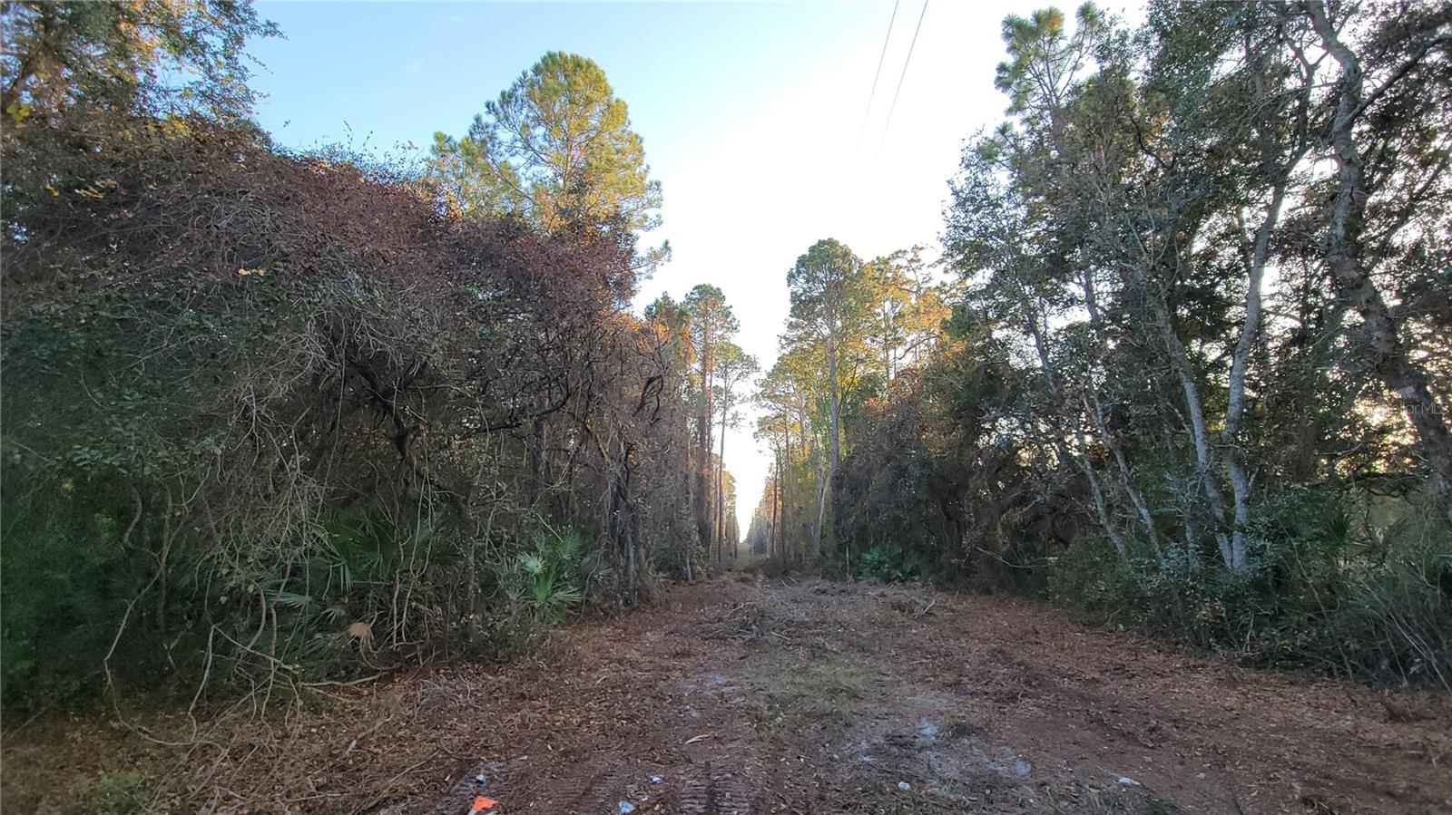 Image 50 of 55 For 213 Clifton Road