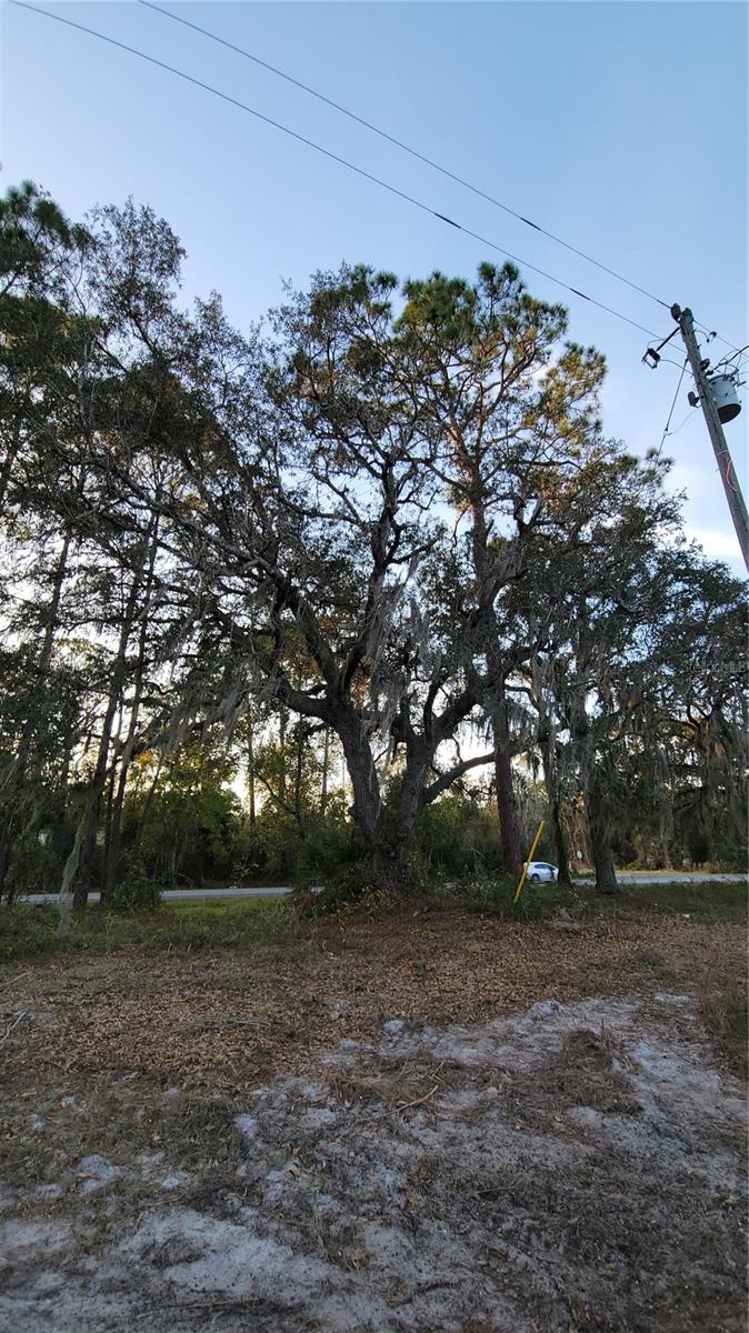 Image 52 of 55 For 213 Clifton Road