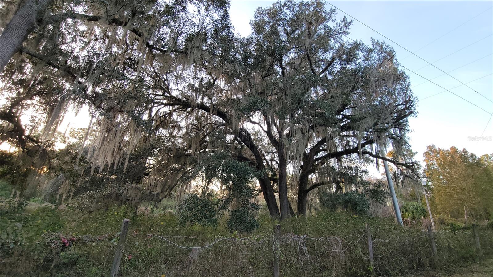 Image 54 of 55 For 213 Clifton Road