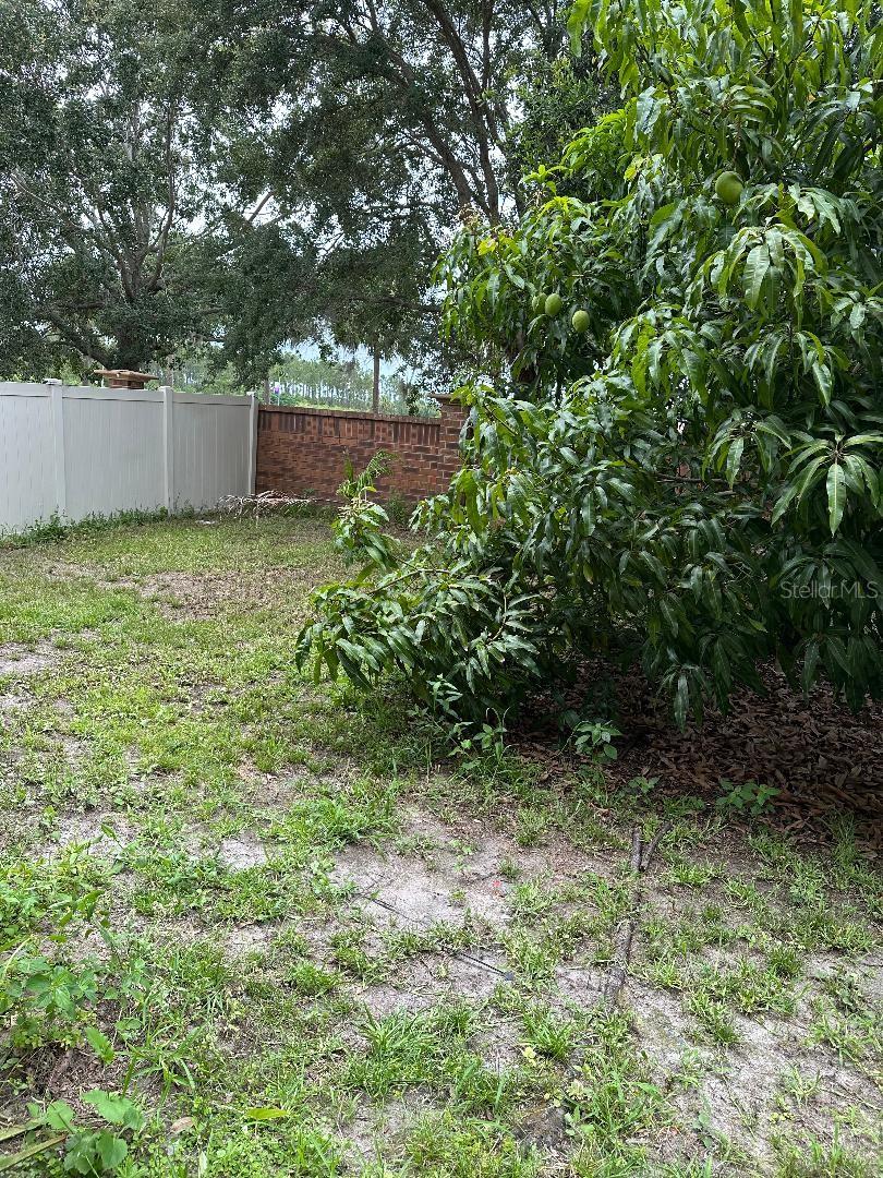 Image 36 of 36 For 1812 Leather Fern Drive