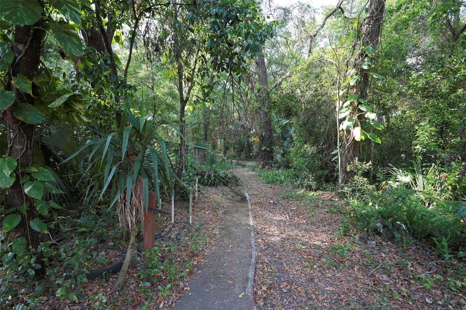 Image 17 of 62 For 26 Kelly Park Road