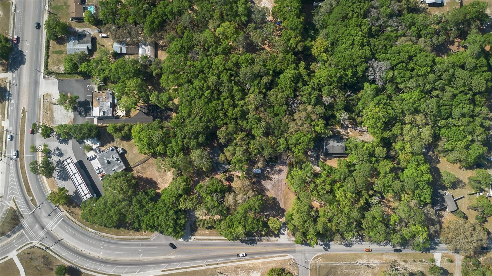 Image 7 of 62 For 26 Kelly Park Road