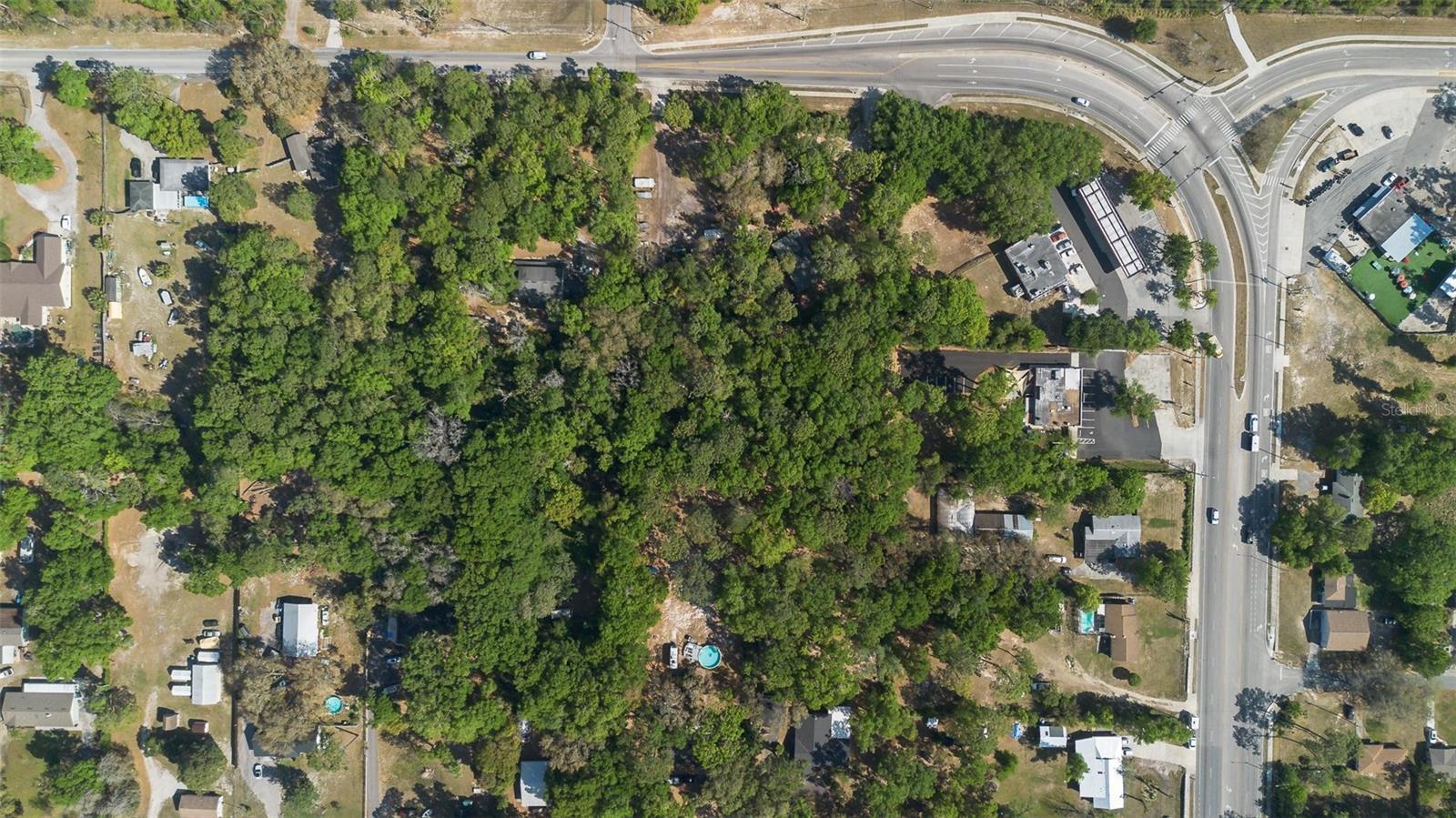 Image 9 of 62 For 26 Kelly Park Road