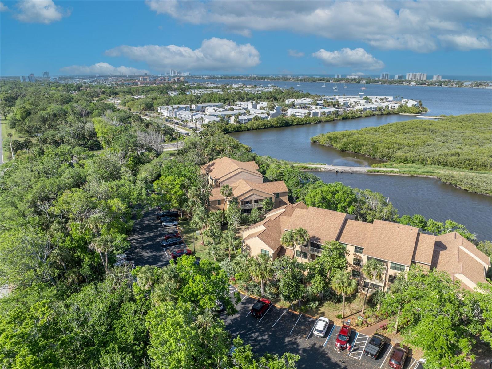Image 36 of 45 For 1401 Palmetto Avenue 300