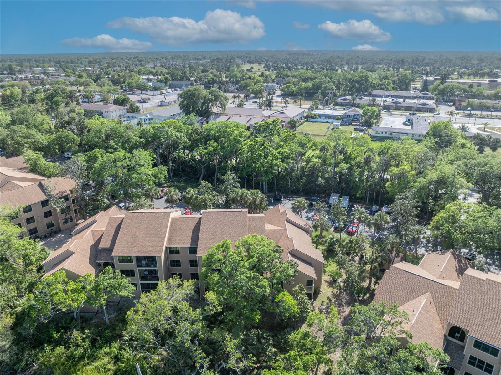 Image 40 of 45 For 1401 Palmetto Avenue 300