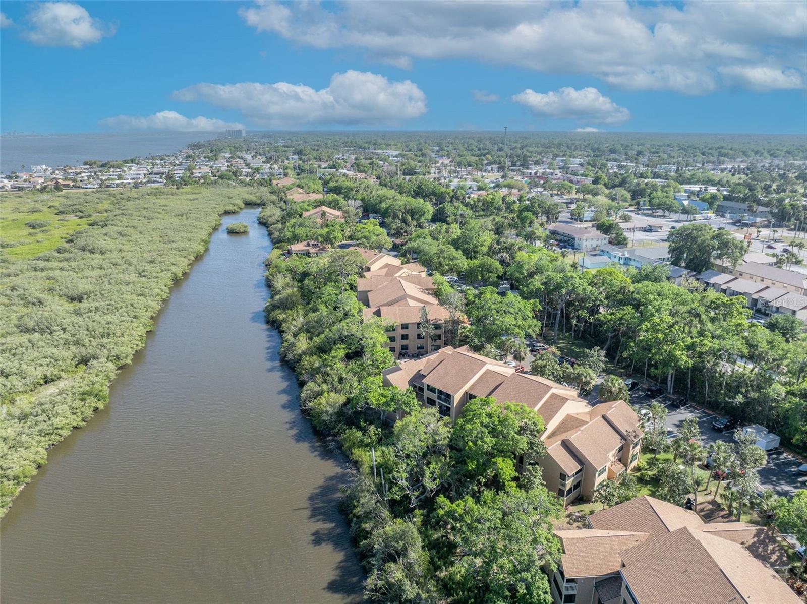 Image 43 of 45 For 1401 Palmetto Avenue 300