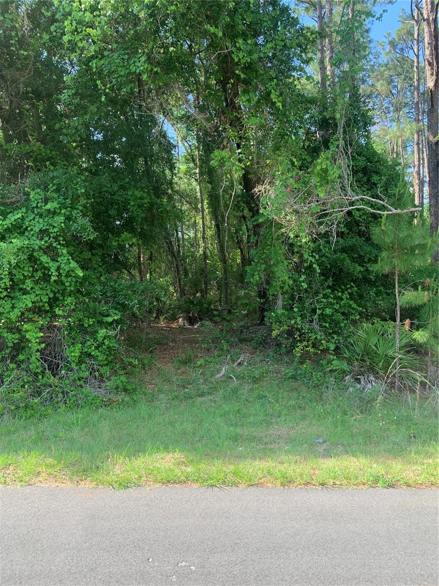Image 2 of 5 For 106 Spanish Trail