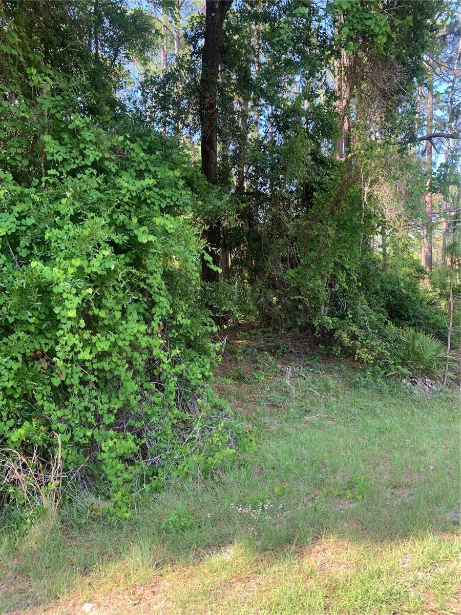 Image 3 of 5 For 106 Spanish Trail