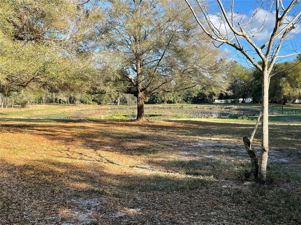 Image 2 of 6 For 195 Lake Molly Avenue