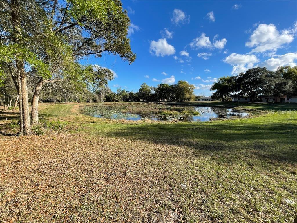 Image 4 of 6 For 195 Lake Molly Avenue