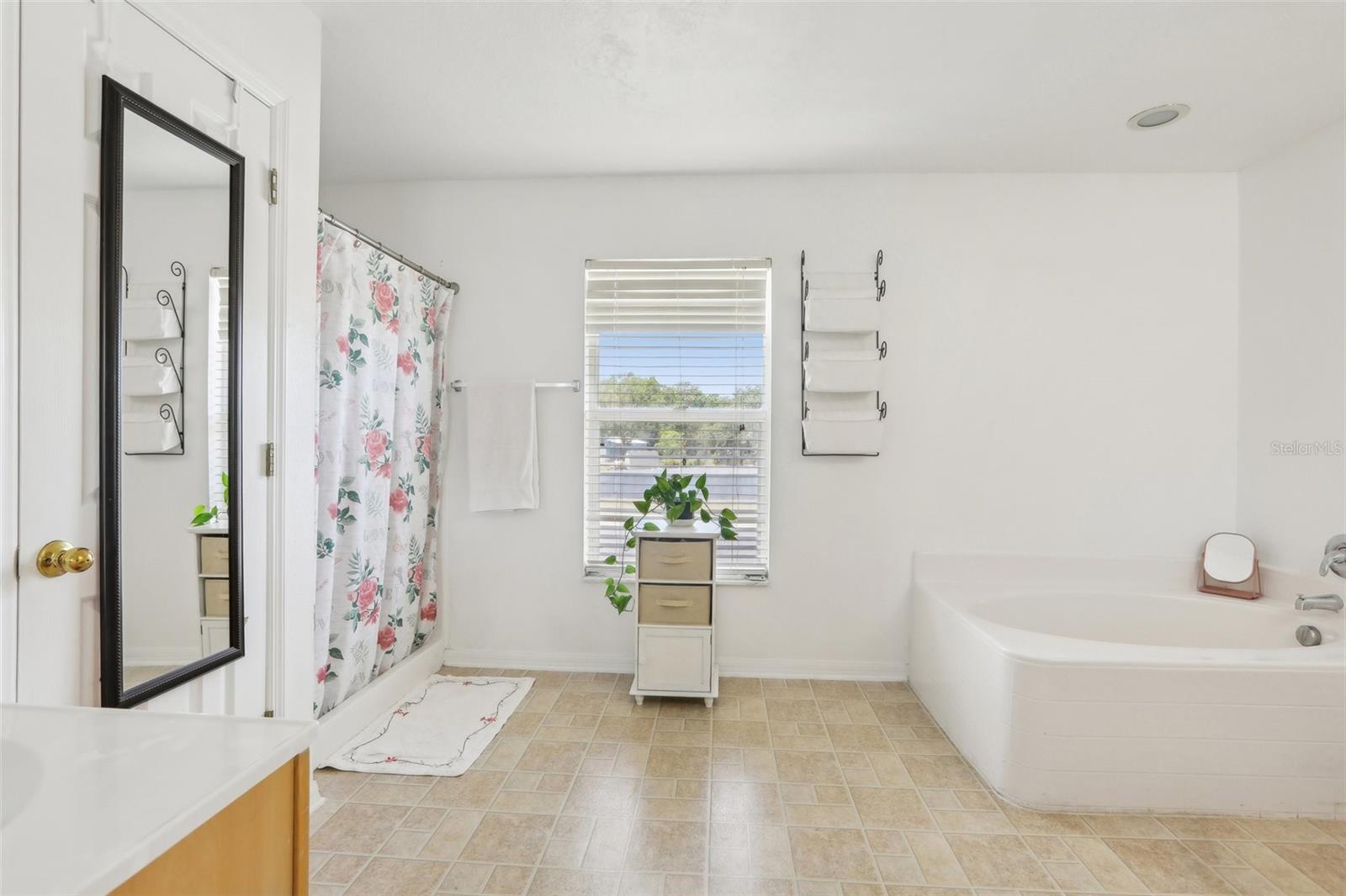 Image 41 of 47 For 193 Fish Hawk Drive