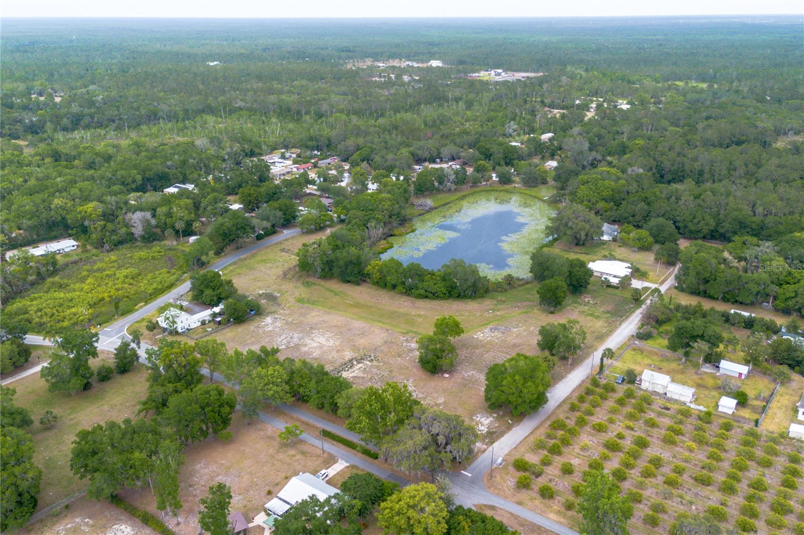 Image 4 of 22 For Lake Pearl Drive