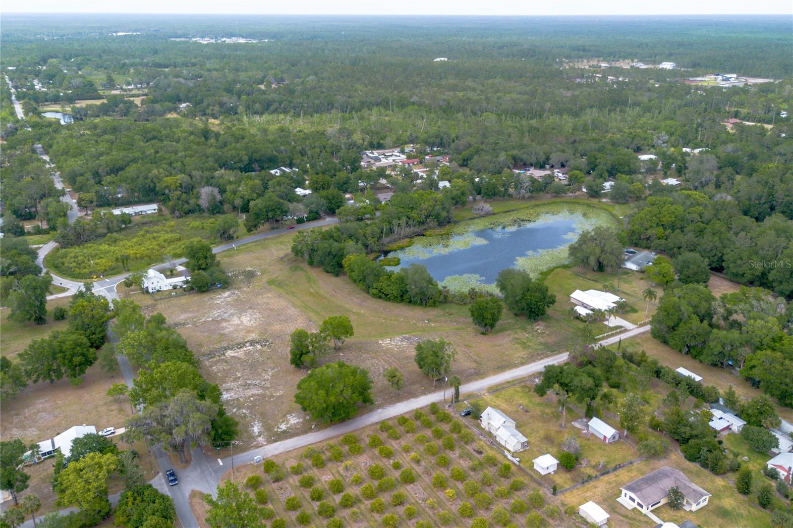 Image 5 of 22 For Lake Pearl Drive