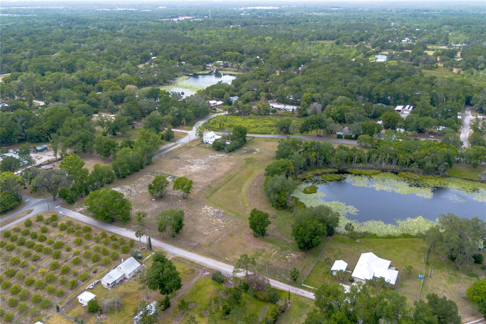 Image 7 of 22 For Lake Pearl Drive