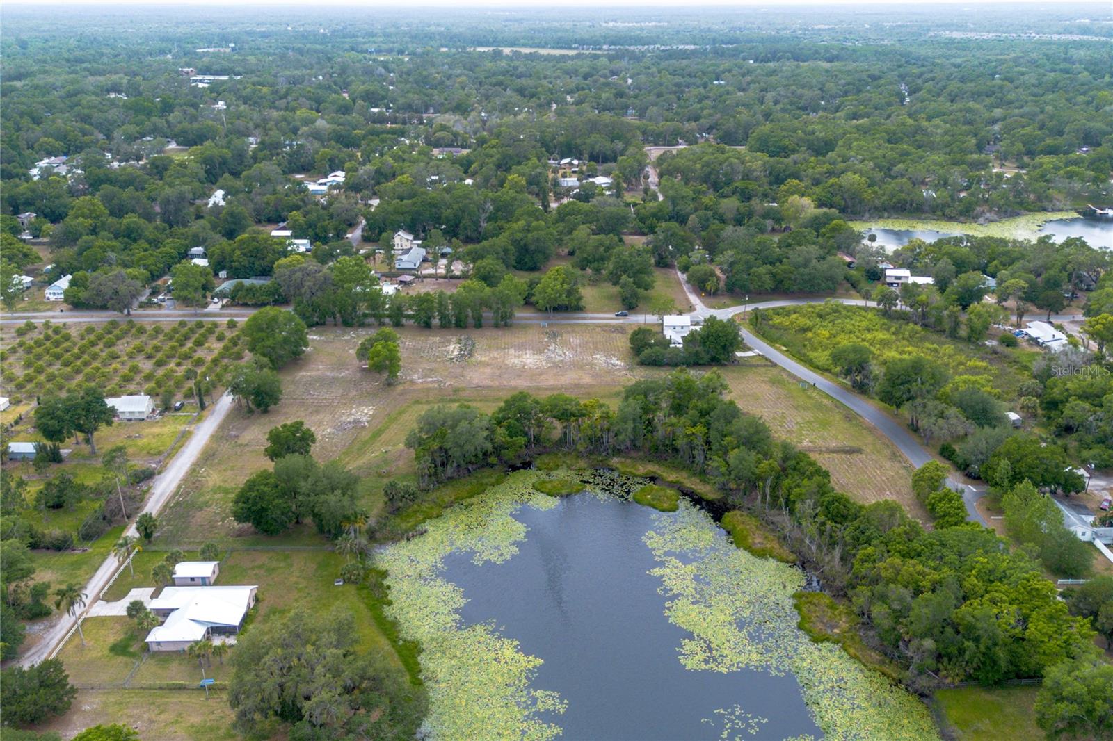 Image 8 of 22 For Lake Pearl Drive