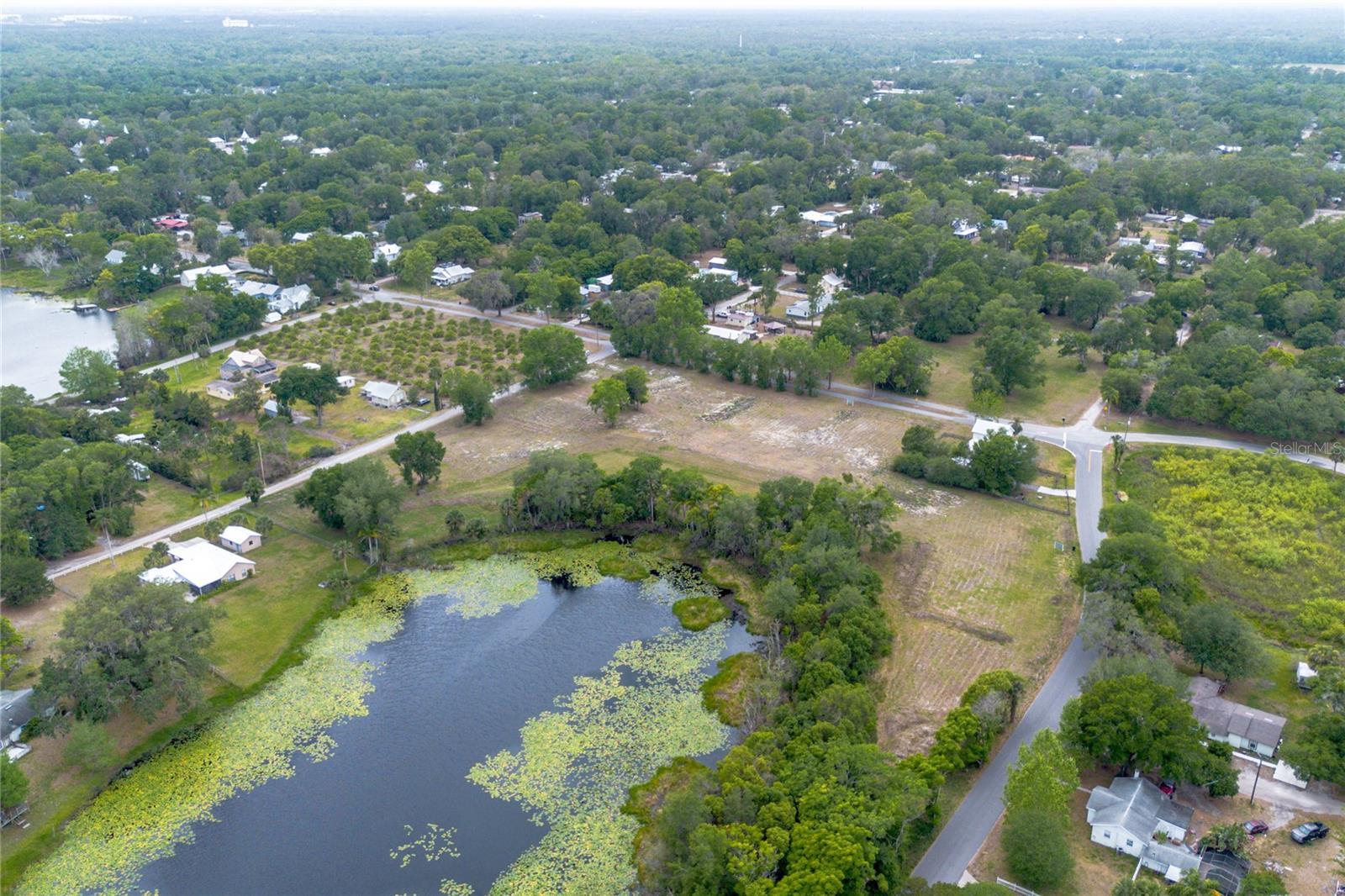 Image 9 of 22 For Lake Pearl Drive