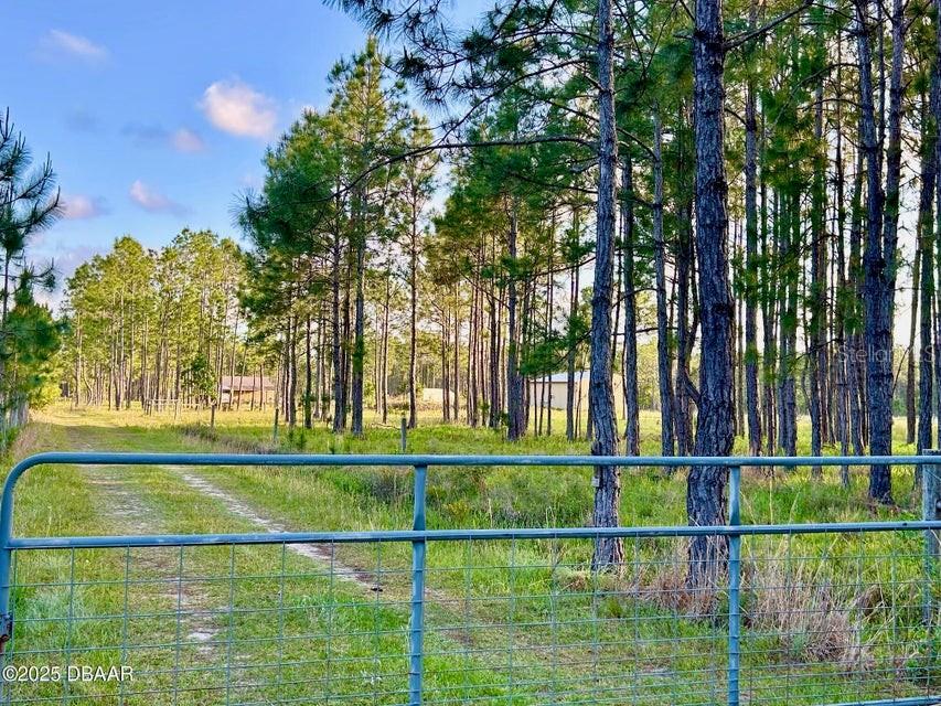 Details for 201 Wasick Lane, ORMOND BEACH, FL 32174