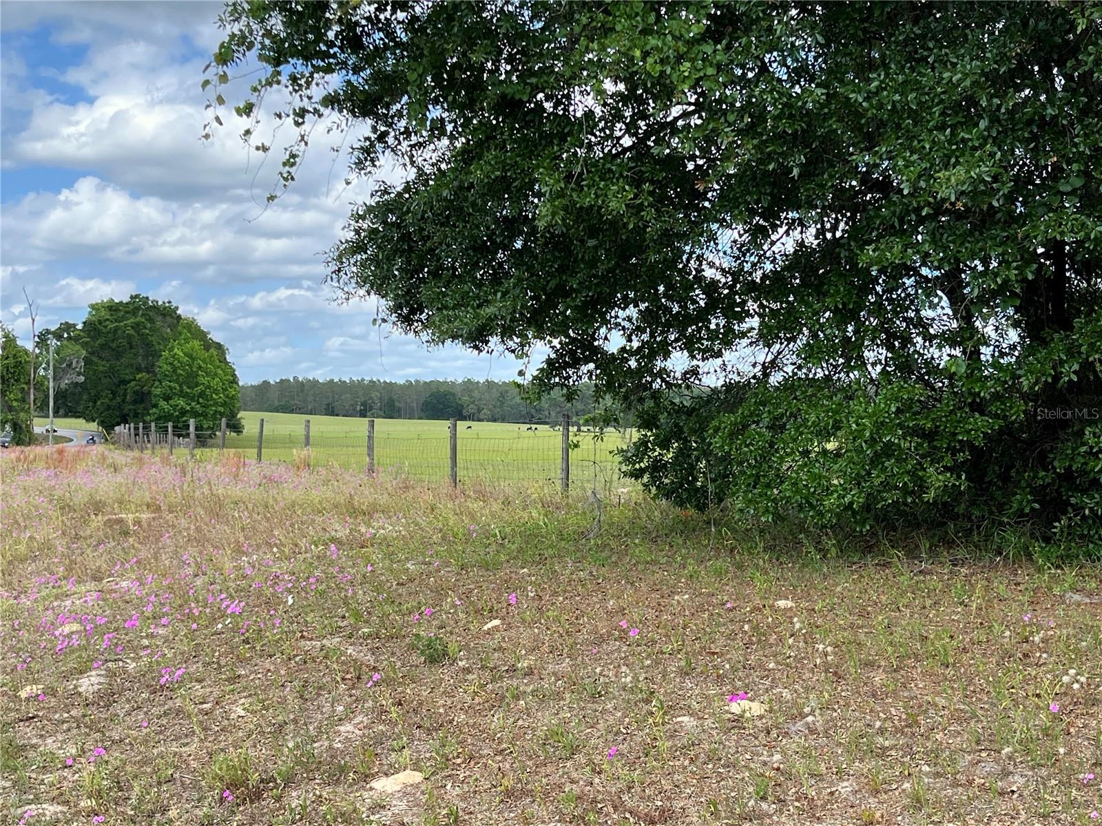 Image 40 of 43 For 364 County Road 309