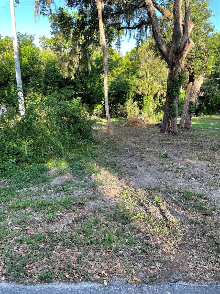 Listing Details for 5320 Park Avenue, DE LEON SPRINGS, FL 32130