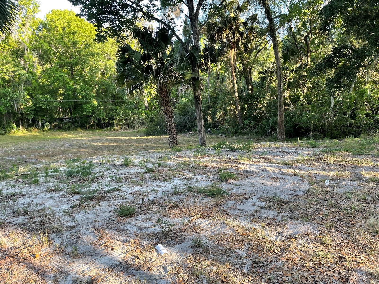 Details for  Park Avenue , DE LEON SPRINGS, FL 32130