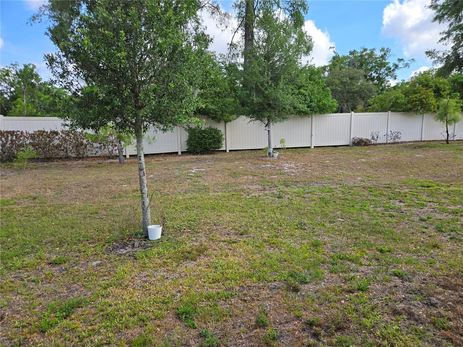 Image 21 of 25 For 899 Asterfield Lane