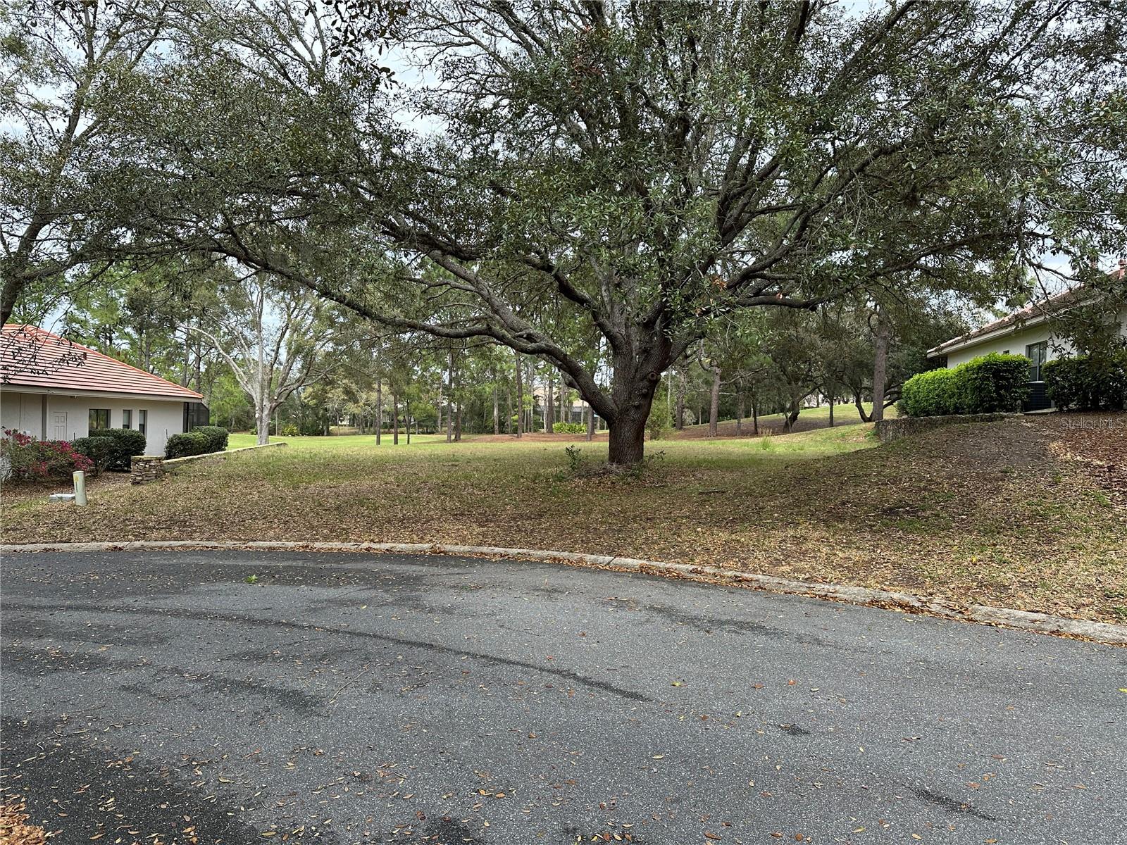 Details for 3667 Treyburn Path, LECANTO, FL 34461