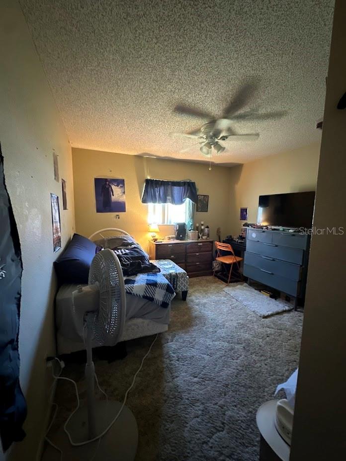 Image 10 of 13 For 2816 Travelers Palm Drive
